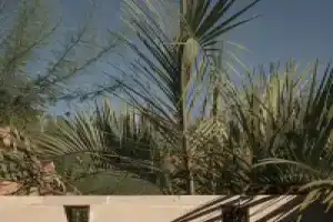 Ranch Motel, Сан-Антонио