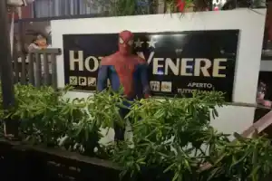 Hotel «Venere», Римини