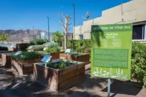 Отель «Eilot Kibbutz Country Lodging», Эйлат