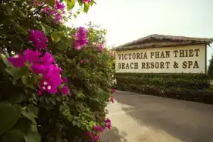 Victoria Phan Thiet Beach Resort & Spa, Муине