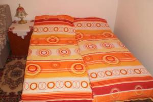 Studio Elizabeta, Сокобаня