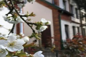 Ferienwohnung Berta, Люнебург