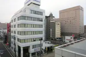 Niigata Daiichi Hotel, Ниигата