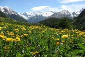 Hotel Petit Giles, Конье