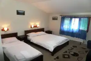 Hotel «Zlatni bor», Жабляк