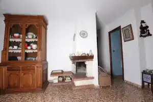 The Best Terrace in La Mata, Торревьеха