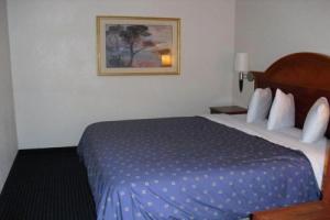 Homegate Studios & Suites San Antonio Medical Center, Сан-Антонио