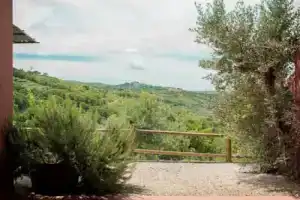 Snug Holiday Home in Castagneto Carducci near Thermal Bath, Кастаньето-Кардуччи