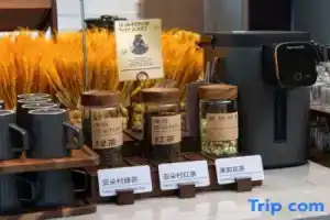 Zhengzhou Provincial Museum Dongfeng Road Atour hotel, Чжэнчжоу