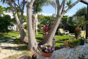 One bedroom appartement with wifi at Palermo, Чинизи