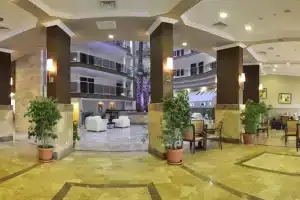 Lioness Hotel, Авсаллар
