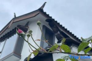 21 Degree Ju·Snow Mountain Courtyard (Lijiang Shuhe Ancient Town Branch), Лицзян