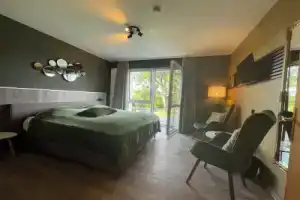 Berg-Hotel Hohegeiß Gesundheitshotel, Браунлаге