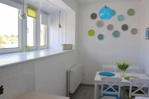 Studio Eleven, Кишварда