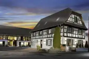 Dolphin Hotel All Inclusive, Св. Константин и Елена