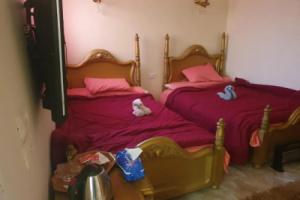 Мини-отель «Jana Pyramids view inn», Каир