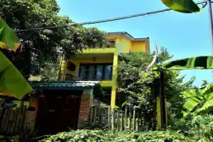 Мини-отель «Pink Tulip Hoi An», Хой Ан