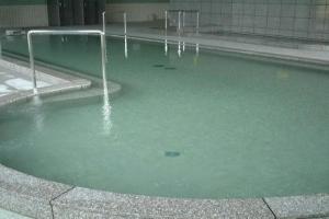 Nakagawa Onsen Hotel Arai, Насусиобара