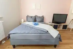 FULL HOUSE Studios - The Buffalo Apartment - NTFLX + WiFi, Цвикау
