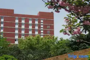 Wisdom Hotel Shanghai, Шанхай