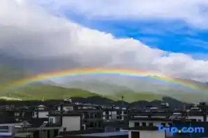 Dali Yuehui Garden Meisu, Дали