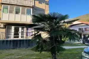 2h kom kV v Gagra, Гагра