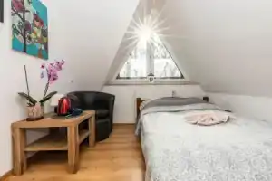 Brzoza w centrum Zakopanego, Закопане