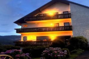 Hotel Schauinsland, Бад-Петерсталь-Грисбах