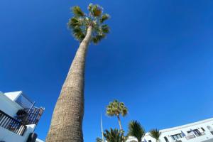 Апарт-отель «Plaza Azul», Пуэрто-дель-Кармен