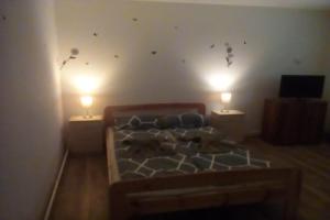 Potyka Apartman, Тисафюред