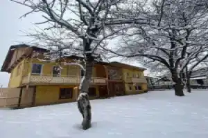 Art-Villa Boutique, Бакуриани