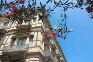 b&b Perla, Катания