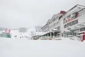 Ikenotaira Shirakaba Kogen Hotel, Шимо-сува