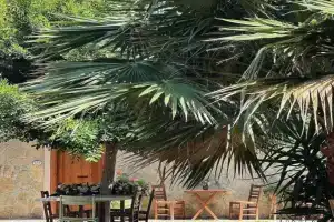 Seki̇z Oda Otel, Арсуз