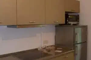 Nikolas Apartamentai - Vytauto gatvė, Друскининкай