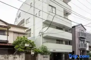 YokohamaSengencho4, Иокогама