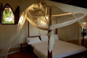 Hodi Hodi Zanzibar, Матемве