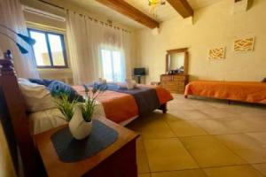 Merhba b&b, Кала