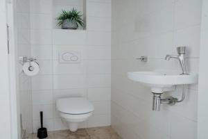 Luxury Apartment Near the North Sea, Эгмонд Аан Зее