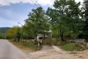 Muse House, Амбролаури