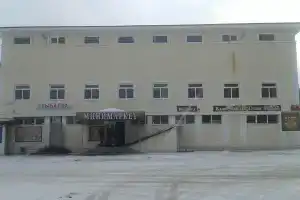Мини-отель «Старый центр», Мичуринское