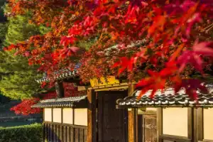 Suiran, a Luxury Collection Hotel, Kyoto, Киото
