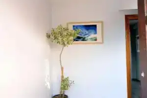 Mavi Park Apart Otel, Тургутреис