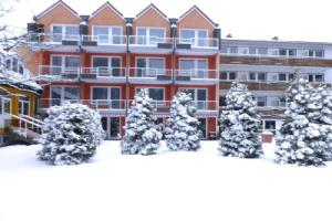 Luxurious Apartment in Hahnenklee with Sauna, Ханенклее-Боксвизе