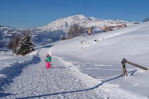 Apartment Grammlergut, Мариа-Альм