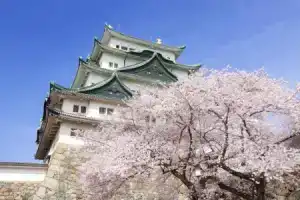 Отель «the b nagoya», Нагоя