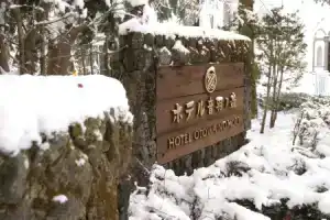 Kyu Karuizawa Hotel Otowa No Mori, Каруидзава