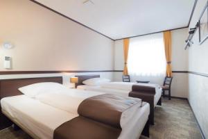 Toyoko Inn Frankfurt Central Station, Франкфурт-на-Майне