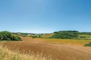 Trebbiano 4, Кастельфьорентино