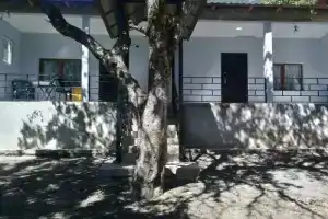Guesthouse Mestia Oribeli, Местиа